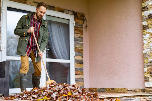 Best Office Junk Removal  in Coal Grove, OH